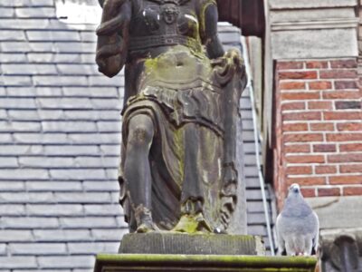 dagelijkse-groenmarkt-1-35