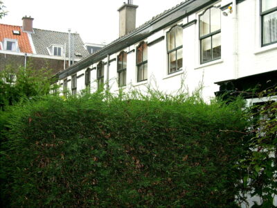 herkomst: B. Koopmans   datum: okt 2003