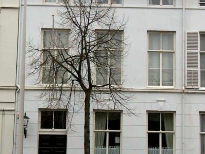 Herkomst: J.Vrolijk   datum: 16-3-2000