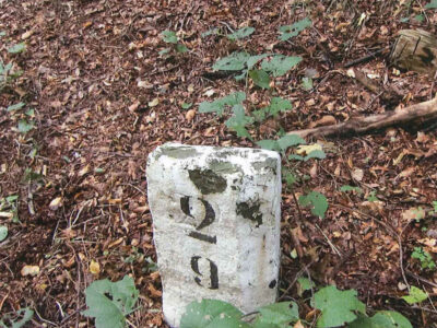 leidsestraatweg-ongenummerd-2