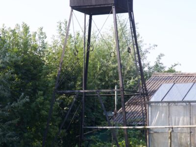 Herkomst: P.J. Bosman; datum: 15-09-2016