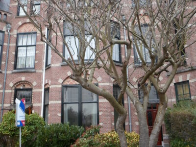 herkomst: R. Joosten   datum: 6 februari 2017