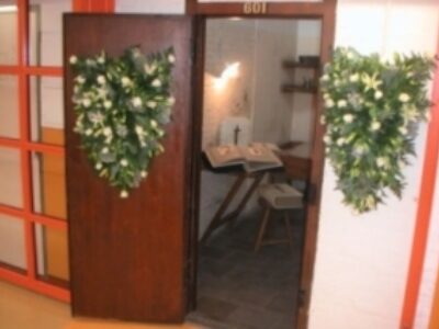 van-alkemadelaan-1256-1